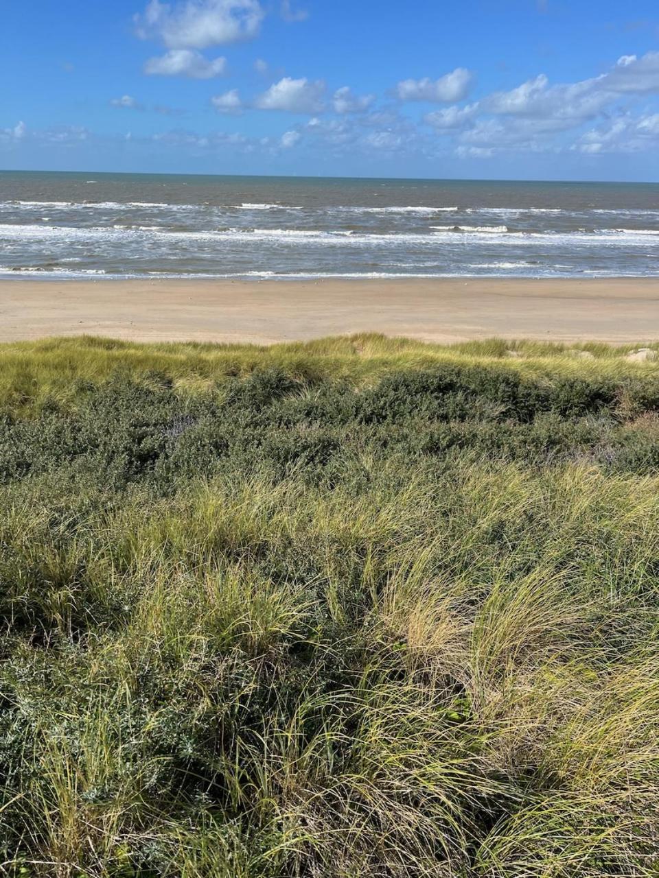 Studio34 Zandvoort Free Parking Eksteriør bilde
