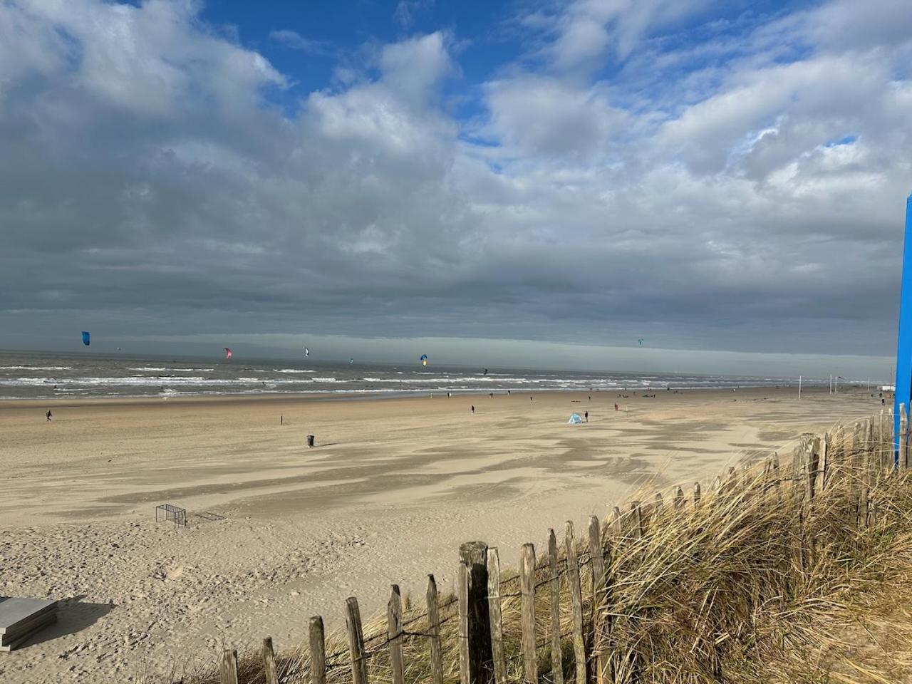 Studio34 Zandvoort Free Parking Eksteriør bilde